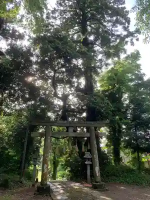 八幡神社の鳥居