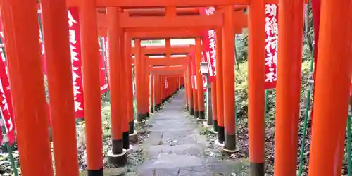 佐助稲荷神社の鳥居