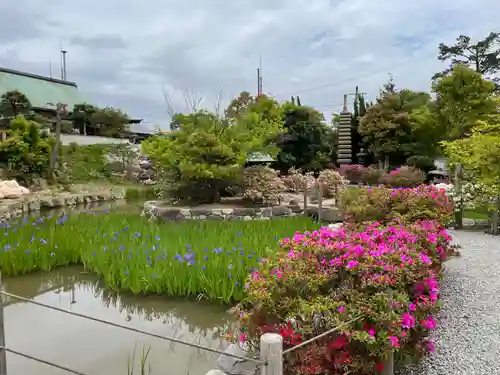 多聞寺(兵庫県)
