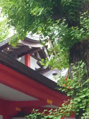 蒔田杉山神社(神奈川県)