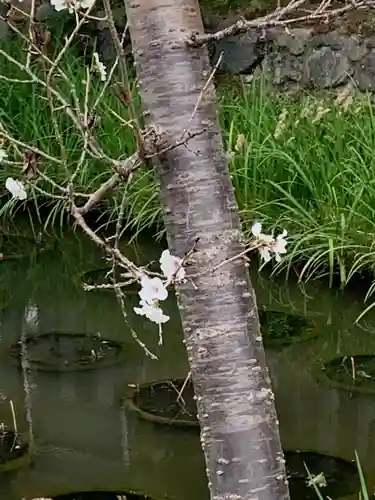 くろ谷 金戒光明寺の自然
