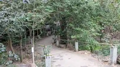 伊豫豆比古命神社の自然