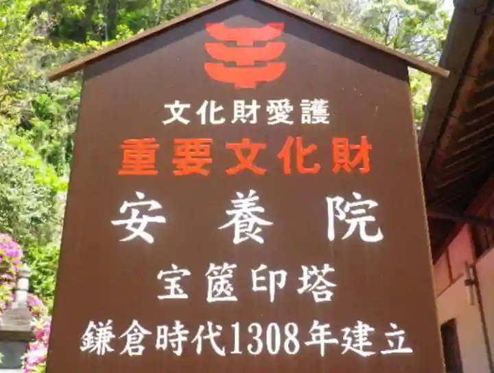 安養院 (田代寺)の歴史