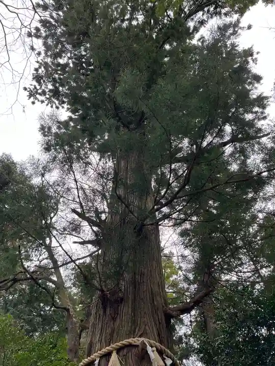 高尾山薬王院(東京都)