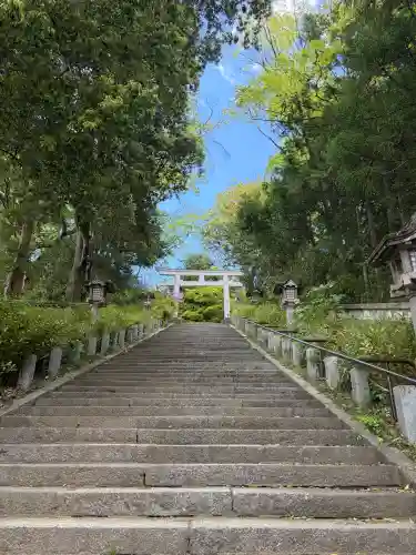二本松神社の{uncategorized: "未分類", other: "その他", undefined: "問題あり", building: "その他建物", grave: "お墓", sacred_gate: "鳥居", guardian: "狛犬", statue: "像", buddha: "仏像", history: "歴史", nature: "自然", garden: "庭園", animal: "動物", pagoda: "塔", temizu: "手水舎", mountain_gate: "山門・神門", sanctuary: "本殿・本堂", subordinate: "末社・摂社", art: "芸術", scenery: "景色", jizo: "地蔵", ema: "絵馬", goshuin: "御朱印", omikuji: "おみくじ", items: "授与品その他", amulet: "お守り", goshuincho: "御朱印帳", eats: "食事", festival: "お祭り", votive_dance: "神楽", shichigosan: "七五三参", wedding: "結婚式", experience: "体験その他", initially: "初詣", around: "周辺", anti_infection: "感染症対策"}