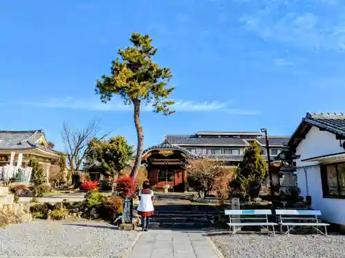 乙津寺　（鏡島弘法）の庭園