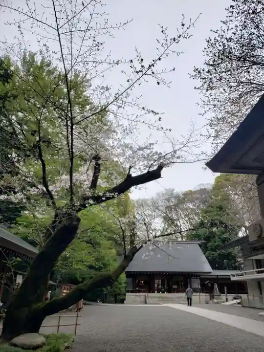 乃木神社(東京都)
