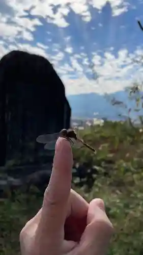 上伊那招魂社(長野県)