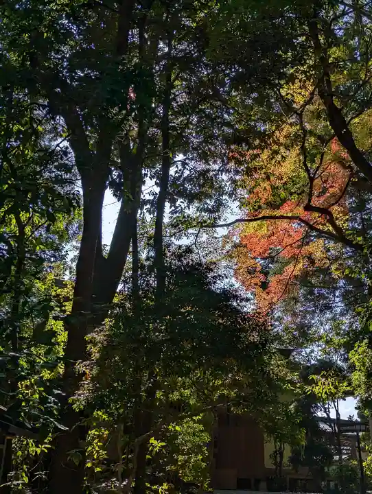 狭井坐大神荒魂神社(狭井神社)(奈良県)