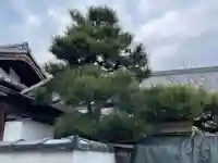 寳受寺(京都府)