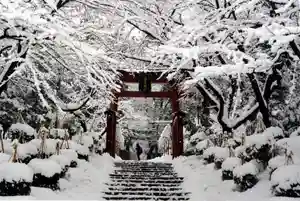 雪景色が美しい全国の神社お寺8選