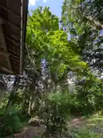 鹿島神社(福島県)