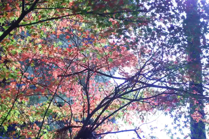 仁和寺(京都府)