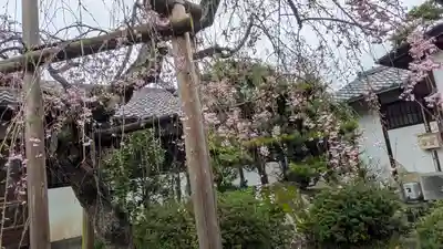 得浄明院(善光寺別院)(京都府)