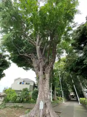 五社神社(神奈川県)