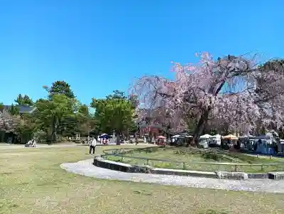 平安神宮の{uncategorized: "未分類", other: "その他", undefined: "問題あり", building: "その他建物", grave: "お墓", sacred_gate: "鳥居", guardian: "狛犬", statue: "像", buddha: "仏像", history: "歴史", nature: "自然", garden: "庭園", animal: "動物", pagoda: "塔", temizu: "手水舎", mountain_gate: "山門・神門", sanctuary: "本殿・本堂", subordinate: "末社・摂社", art: "芸術", scenery: "景色", jizo: "地蔵", ema: "絵馬", goshuin: "御朱印", omikuji: "おみくじ", items: "授与品その他", amulet: "お守り", goshuincho: "御朱印帳", eats: "食事", festival: "お祭り", votive_dance: "神楽", shichigosan: "七五三参", wedding: "結婚式", experience: "体験その他", initially: "初詣", around: "周辺", anti_infection: "感染症対策"}
