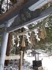 白鳥神社の鳥居