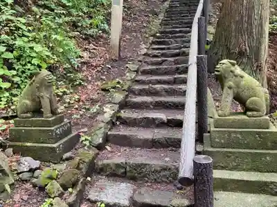 鳥越観音の狛犬