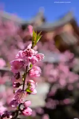 素盞雄神社(東京都)