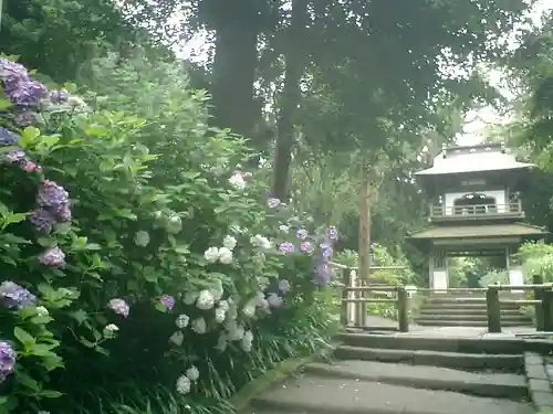 浄智寺の山門