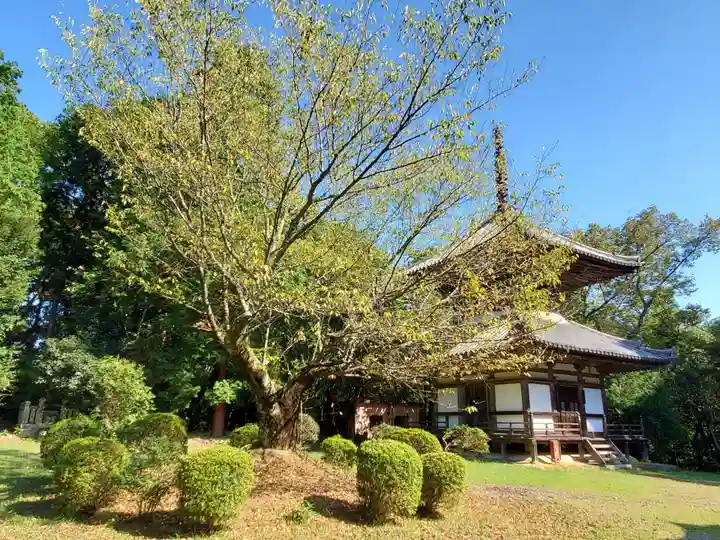 朝光寺のその他建物