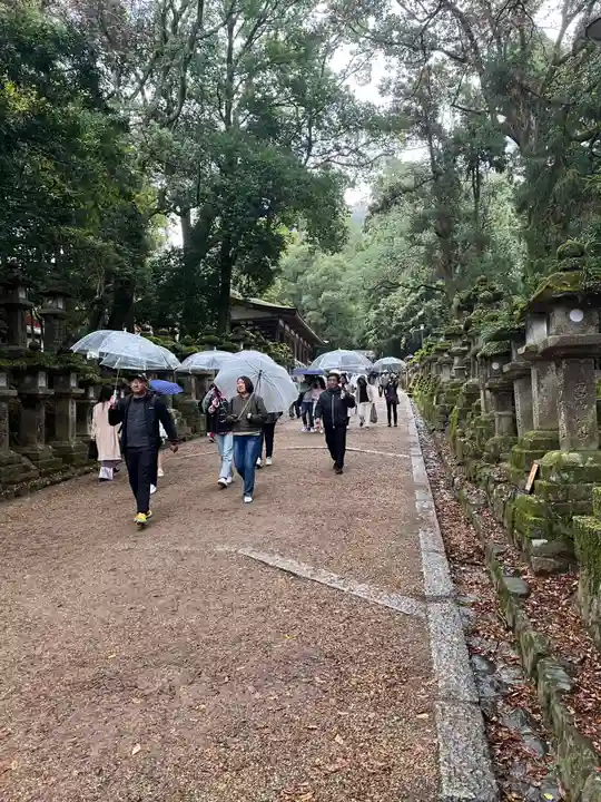 春日大社(奈良県)