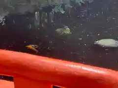 富知六所浅間神社の庭園