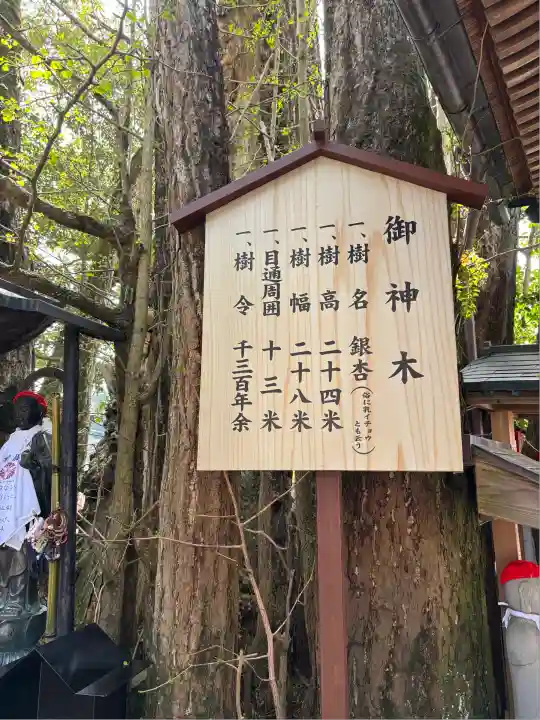 高塚愛宕地蔵尊(大分県)