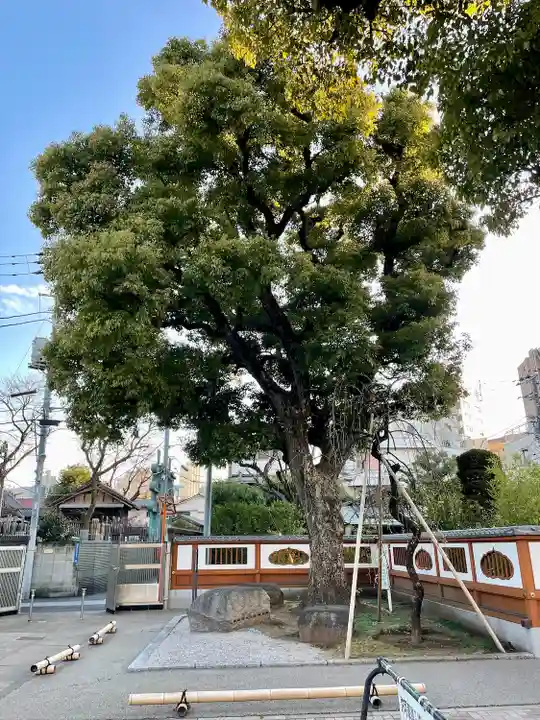 天妙国寺(東京都)