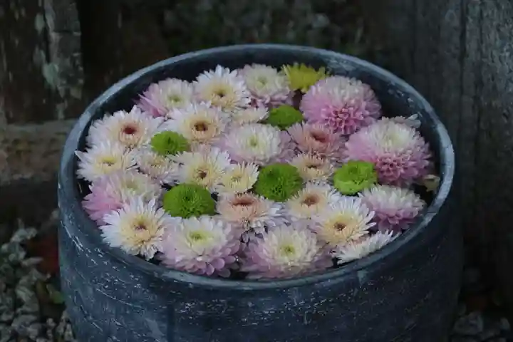 三春大神宮の手水舎