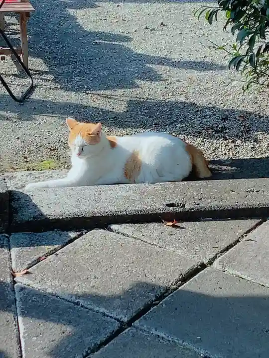 今市報徳二宮神社(栃木県)