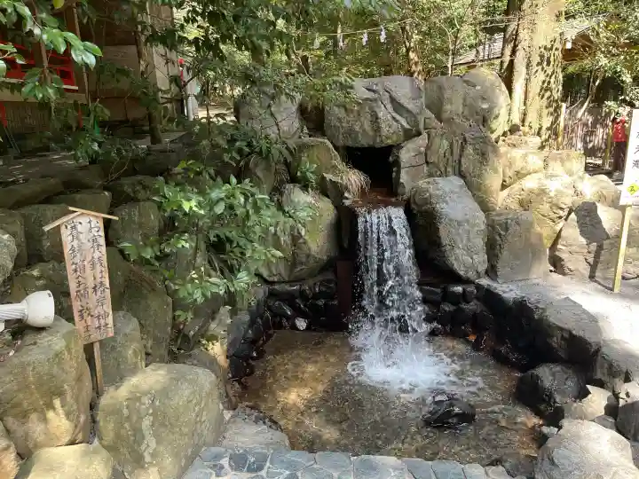 椿大神社の{uncategorized: "未分類", other: "その他", undefined: "問題あり", building: "その他建物", grave: "お墓", sacred_gate: "鳥居", guardian: "狛犬", statue: "像", buddha: "仏像", history: "歴史", nature: "自然", garden: "庭園", animal: "動物", pagoda: "塔", temizu: "手水舎", mountain_gate: "山門・神門", sanctuary: "本殿・本堂", subordinate: "末社・摂社", art: "芸術", scenery: "景色", jizo: "地蔵", ema: "絵馬", goshuin: "御朱印", omikuji: "おみくじ", items: "授与品その他", amulet: "お守り", goshuincho: "御朱印帳", eats: "食事", festival: "お祭り", votive_dance: "神楽", shichigosan: "七五三参", wedding: "結婚式", experience: "体験その他", initially: "初詣", around: "周辺", anti_infection: "感染症対策"}