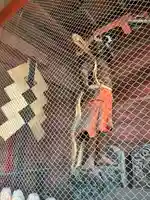 上野国一社八幡八幡宮(群馬県)