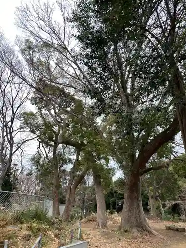 上野大佛の自然