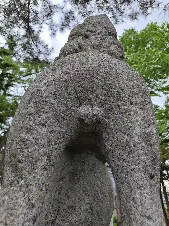 真龍神社の狛犬