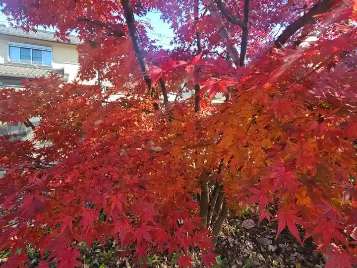 武蔵一宮氷川神社(埼玉県)