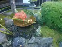 圓光寺の手水舎