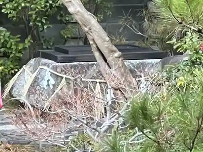 六道珍皇寺(京都府)