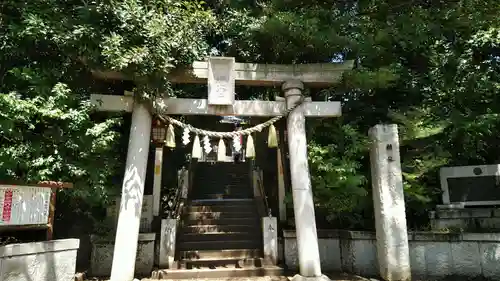 千束八幡神社の鳥居