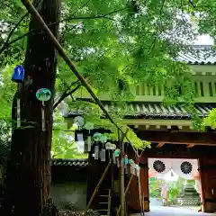 目の霊山　油山寺(静岡県)