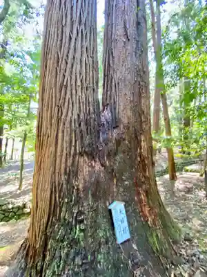 若狭彦神社（上社）(福井県)