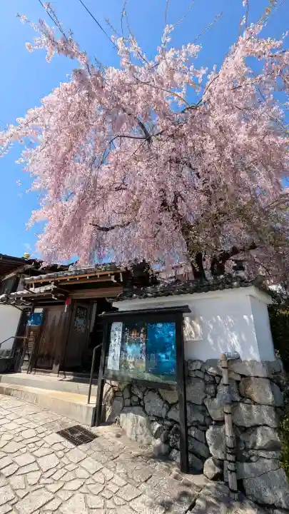 星光院の{uncategorized: "未分類", other: "その他", undefined: "問題あり", building: "その他建物", grave: "お墓", sacred_gate: "鳥居", guardian: "狛犬", statue: "像", buddha: "仏像", history: "歴史", nature: "自然", garden: "庭園", animal: "動物", pagoda: "塔", temizu: "手水舎", mountain_gate: "山門・神門", sanctuary: "本殿・本堂", subordinate: "末社・摂社", art: "芸術", scenery: "景色", jizo: "地蔵", ema: "絵馬", goshuin: "御朱印", omikuji: "おみくじ", items: "授与品その他", amulet: "お守り", goshuincho: "御朱印帳", eats: "食事", festival: "お祭り", votive_dance: "神楽", shichigosan: "七五三参", wedding: "結婚式", experience: "体験その他", initially: "初詣", around: "周辺", anti_infection: "感染症対策"}