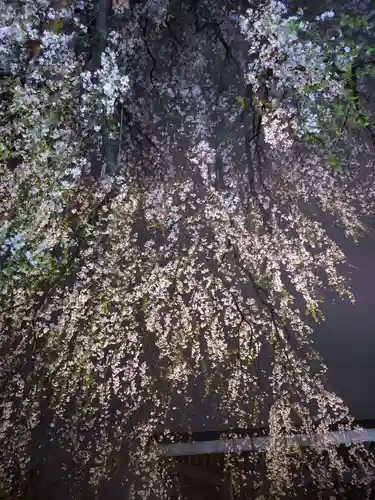 常圓寺(東京都)