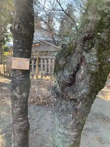 比呂佐和神社の自然