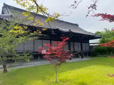 勧修寺(京都府)