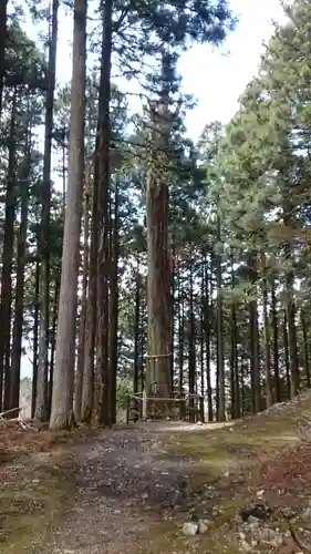 身延山奥之院思親閣(山梨県)