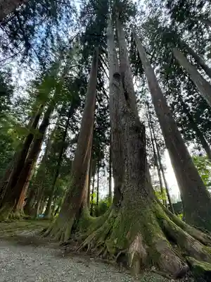 雄山神社中宮祈願殿(富山県)