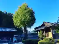 潮音院のその他建物