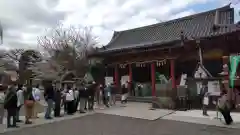 浅草神社の本殿