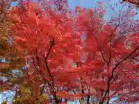 南禅寺(京都府)